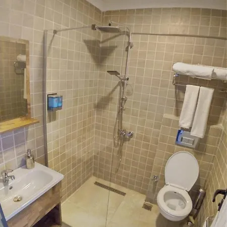 Lion Boutique Hotel Çınarcık