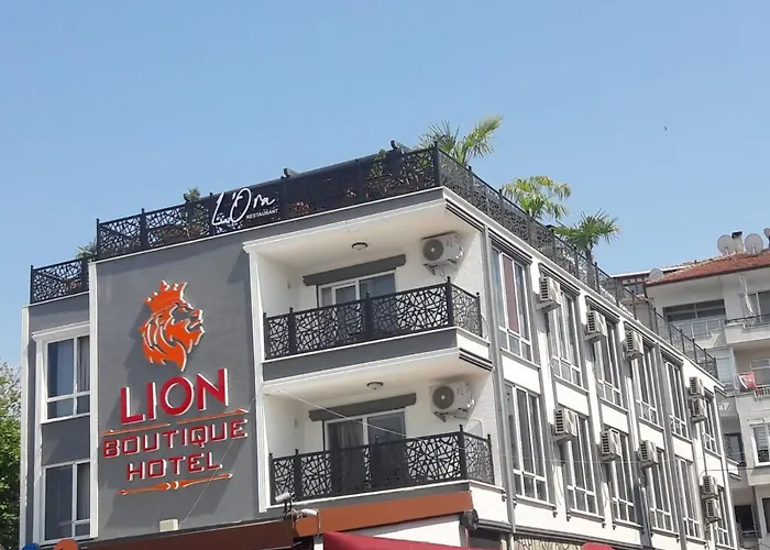 Lion Boutique Hotel Çınarcık